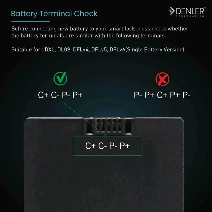 42MX 4200 mAh Lithium Battery - Denler